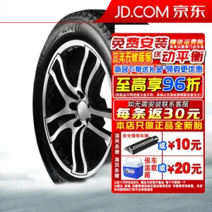Зимняя шина Cooper WM ICE 600 235/60R19 107T
