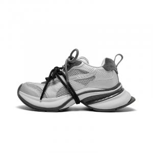 Износостойкие дышащие низкие кроссовки, увеличивающие рост, женские CHERYKALLY, Silver