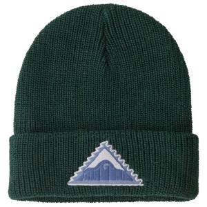 Детская шапочка с логотипом Patagonia, зеленый