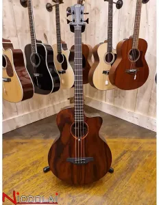 LAG Sauvage-bce Бассо Акустико Кьютауэй EQ