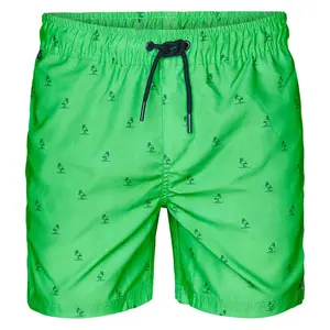 Шорты для плавания Petrol Industries M-1050-SWS951, зеленый