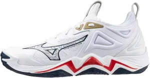 Мужские волейбольные кроссовки Mizuno Wave Momentum 3, сине-белый