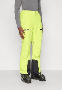Лыжные брюки The North Face CHAKAL PANT, Fizz Lime/Neon Green