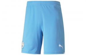 Puma Мужские футбольные шорты, цвет Blue