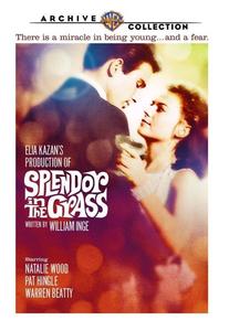 Диск DVD Splendor In The Grass