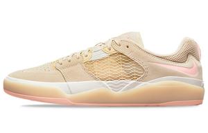 Мужские кроссовки для скейтбординга Nike SB Ishod