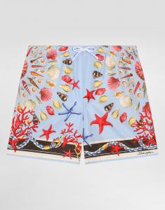 Боксерские шорты из средней плотности холста с принтом ракушек Dolce & Gabbana, мультиколор