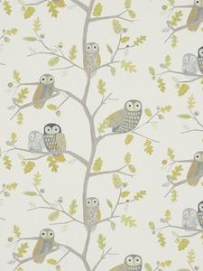 Индивидуальные шторы Little Owls Harlequin, Kiwi