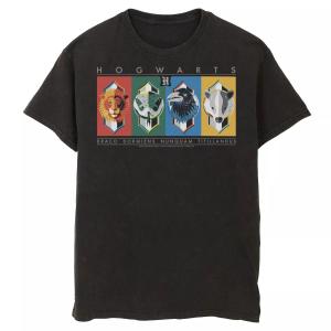 Мужская футболка с рисунком символов Хогвартса Harry Potter