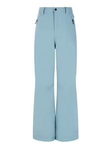 Лыжные штаны Protest  PRTSTERIO JR, цвет Steel Blue