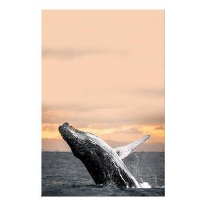 Фреска Artgeist Dance at Dawn, разноцветный