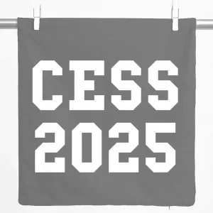 Декоративная подушка Huuraa, чехол для выпускного CESS 2025 (Бельгия, Франция), подарок, 40x40 см, стальной серый хлопок, украшение CESS 2025 Hellweg Druckerei