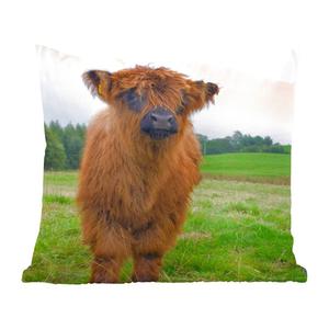 Декоративная подушка MuchoWow Диванная подушка Декоративная подушка для гостиной 60 x 60 см Шотландский горец - Коровы - Природа - Зеленый - Трава - Чехол на подушку - Хлопчатобумажная ткань - Декоративные наволочки