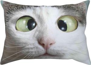 Pevtufa Чехол на подушку с принтом смешных котиков и застежкой конверт Funny Cat