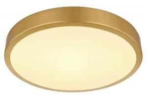 Потолочный светодиодный светильник, цвета опал/латунь Globo, опал/латунный
