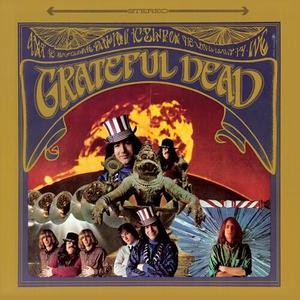Виниловая пластинка Grateful Dead