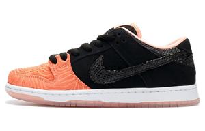 Кроссовки Nike SB Dunk Low Premier Fish Ladder