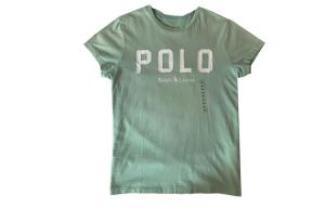 Футболка мужская зеленая Polo Ralph Lauren