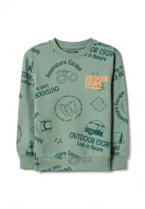 Толстовка прямого кроя с принтом Ovs, Light Green