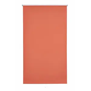 Жалюзи Springrollo Uni затемняющие, с возможностью сверления, 1 штука Sunlines, Terra