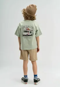 Шорты The New, Humus