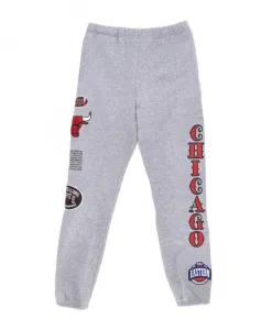 Флисовые спортивные штаны Team Origins Mitchell & Ness, серый