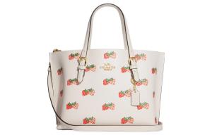 Сумка Mollie от COACH