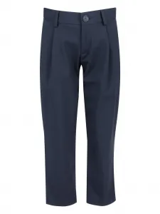 Плиссированные брюки Fay Kids, синий