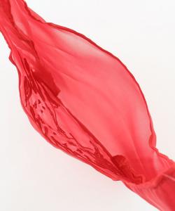 Сувенирный пакет