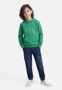 Худи унисекс с логотипом comp gnz0 Quiksilver, Dark Green