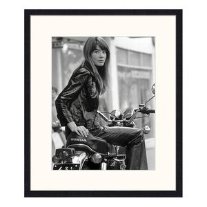 Картина Any Image Françoise Hardy, 52x62x2,6 см