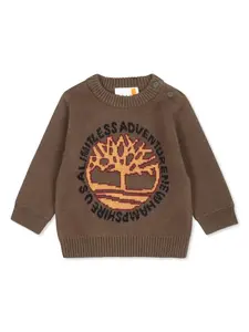 Джемпер с круглым вырезом Timberland Kids, зеленый