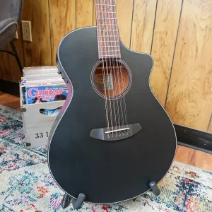 Breedlove Discovery S Satin Black 12-струнная CE