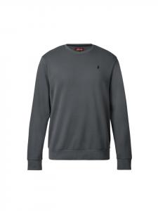 Толстовка MCS