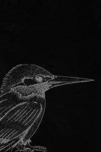 Framed Sketchbook - 6x9” | 100 Pages with Elegant Borders for Drawing, Doodling & Creative Exploration (Independently published)