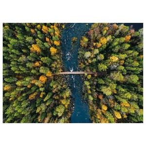 Картина на холсте A.S. Création Autumn Finland цвет grün/blau