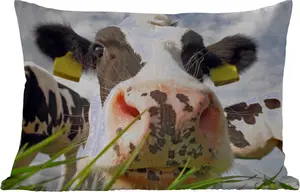 Подушка для улицы - Корова - Ферма - Трава - Животные - 60 x 40 см - Устойчива к погодным условиям - Подушка для отдыха - Декоративная подушка - Подушка для дома MuchoWow