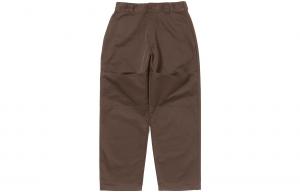 Dickies Повседневные брюки мужские Brown/CD6
