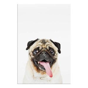 Фреска Artgeist Pug, разноцветный