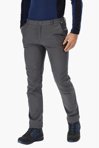 Брюки Fenton из софтшелла Regatta, серый