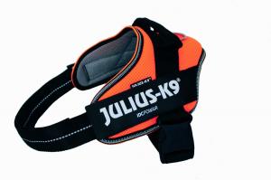 Летняя шлейка Julius K9 оранжевого цвета Powair Т-1 Julius K9, цвет оранжевый