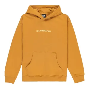 Детская толстовка с графикой Salt Water Quiksilver, коричневый