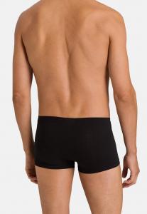 Трусы COTTON SENSATION PANT Hanro, черный