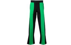 Технические двухпанельные спортивные брюки Bottega Veneta, зеленый