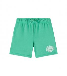 Шорты с логотипом Polo Ralph Lauren Kids, Raft Green
