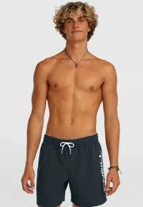 Плавки с логотипом 16 O'Neill, Dunkelblau