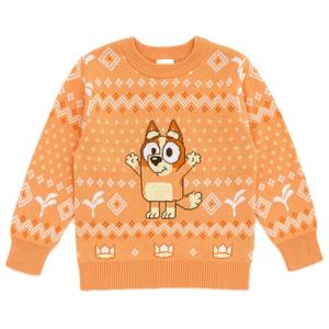 Детский свитер с длинными рукавами для девочек Бинго, чили, мама, бандит, папа на Рождество Bluey, Bingo, orange