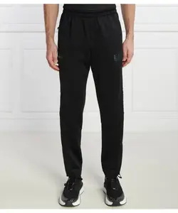 Спортивные штаны Regular fit Ea7, черный