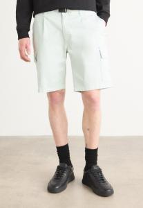 Шорты SARIEL BOSS, светло-зеленый