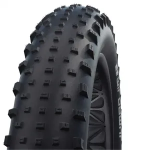 Шина для горного велосипеда Schwalbe Jumbo Jim Evolution ADDIX Tubeless 26´´ x 4.00, серебряный